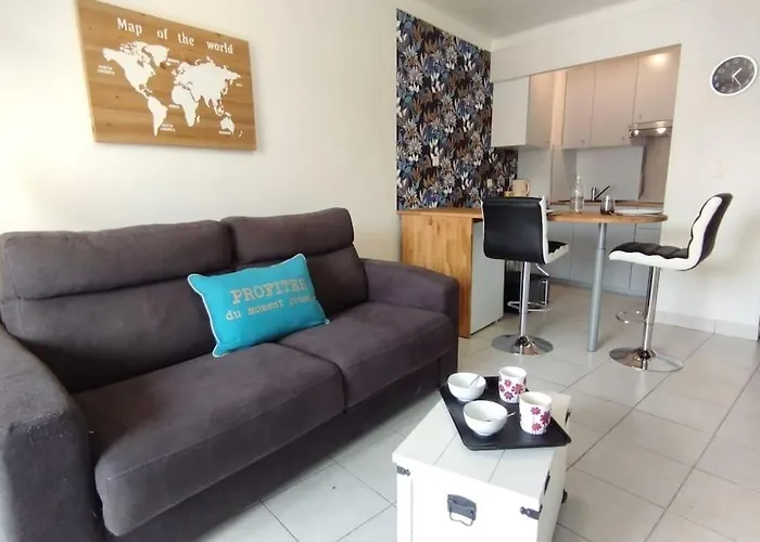 Apartment 20' A Pieds Palais Wifi Cannes