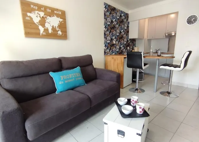 Apartment 20' A Pieds Palais Wifi *