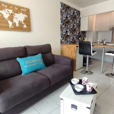 Appartement 20' A Pieds Palais Wifi *